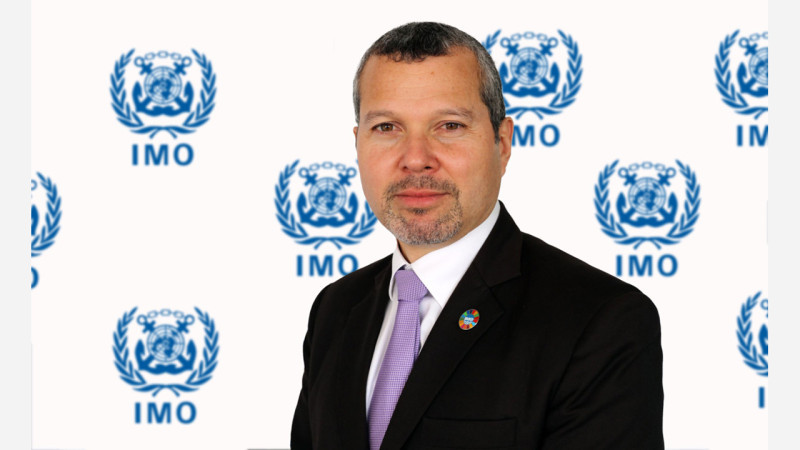 Red Sea Attacks Resume: IMO Calls for Diplomacy