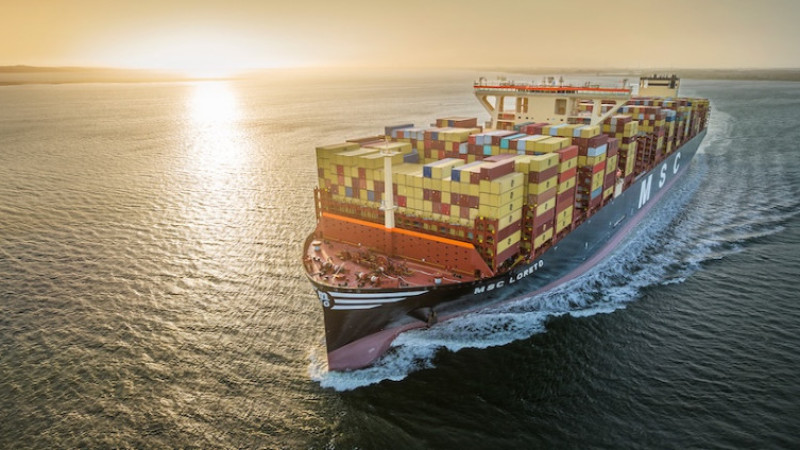 MSC Deepens Global Strategy with Sinokor Move and Africa Expansion